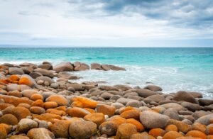 Find weed in Ballarat, Australia