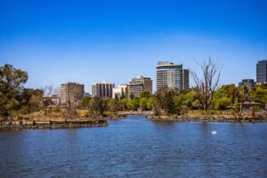 Find Weed in Canberra