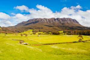 Find Weed in Tasmania