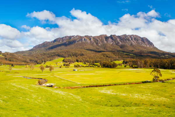 Find Weed in Tasmania