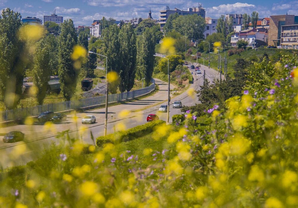 Constanta