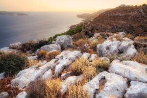 Find Weed in Crete