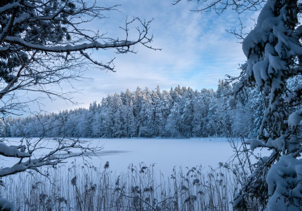 Estonia