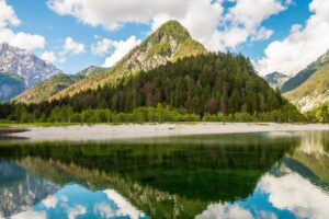 Find Weed in Kranjska Gora