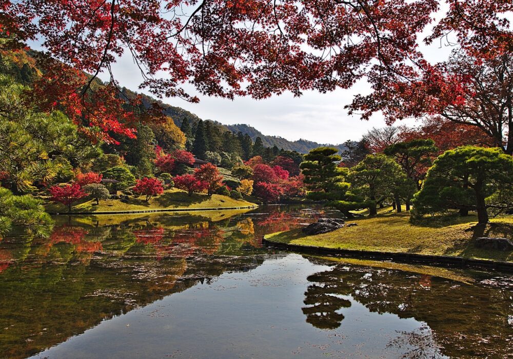 How to find weed in Kyoto