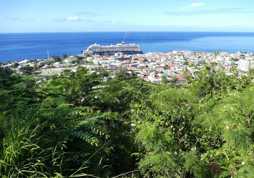 Roseau