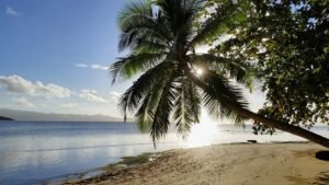 Taveuni