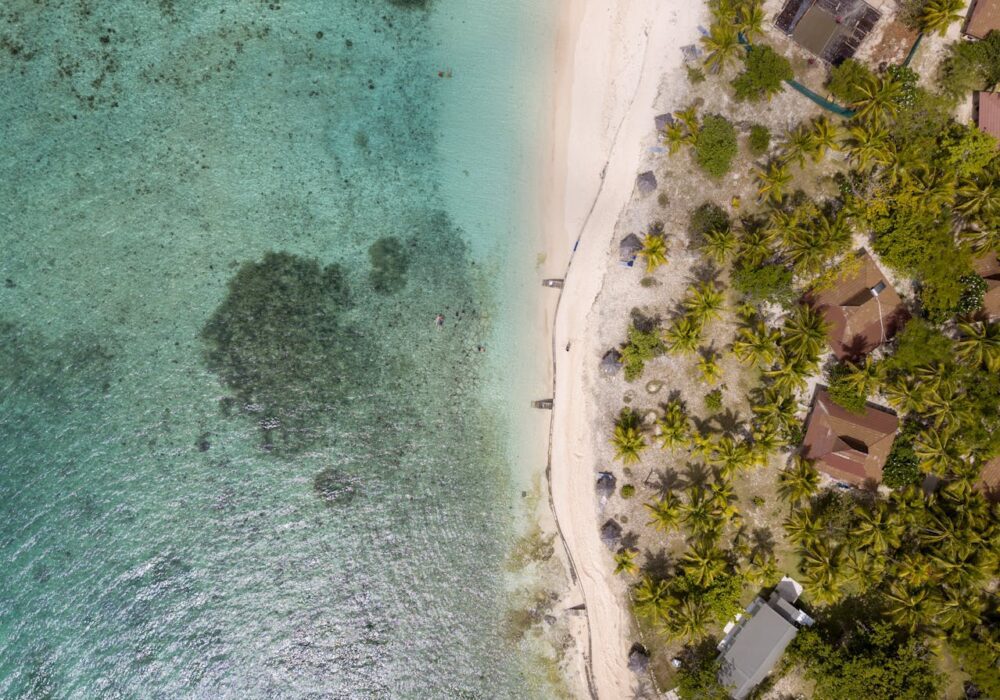 vitilevu