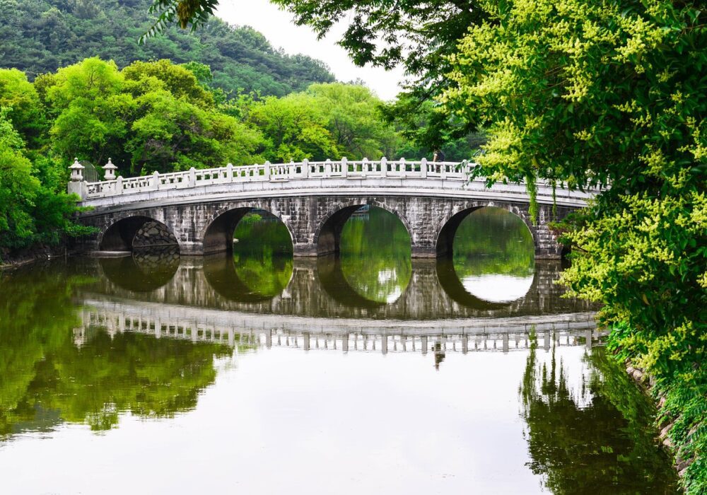 Daegu