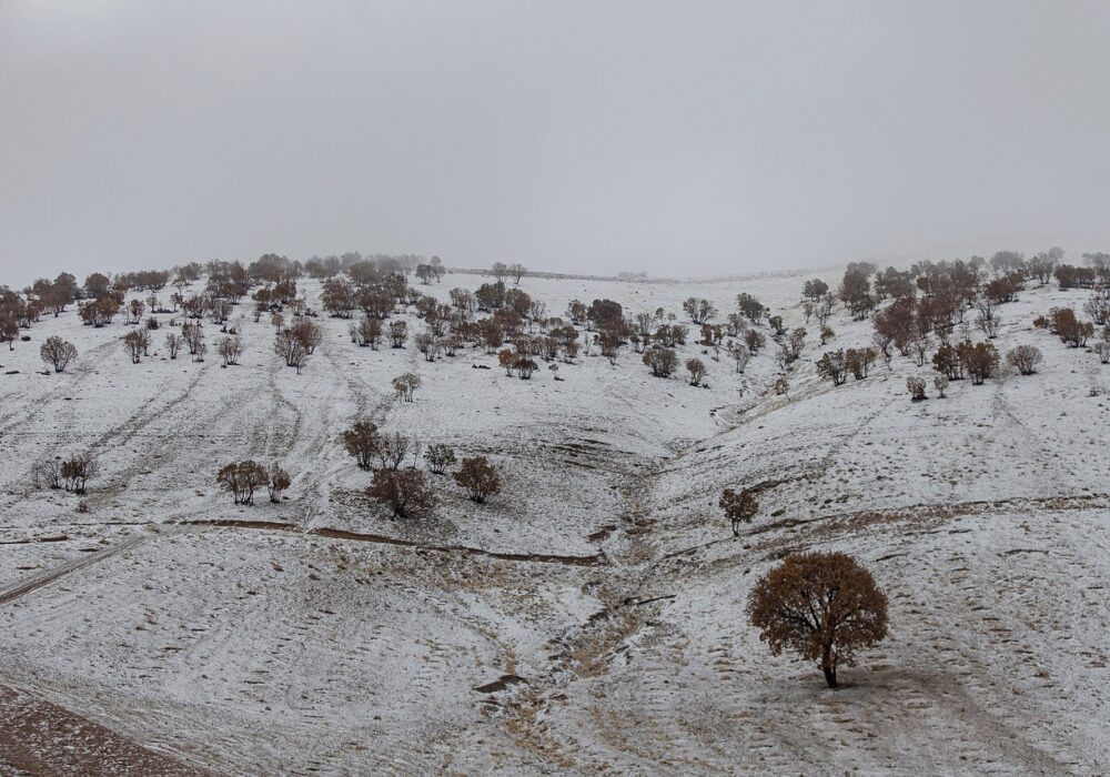 Kermanshah