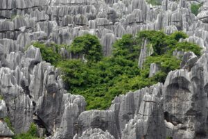 Find Weed in Kunming
