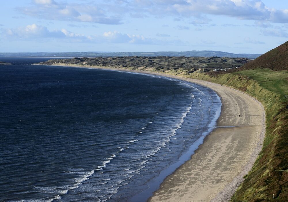 Swansea