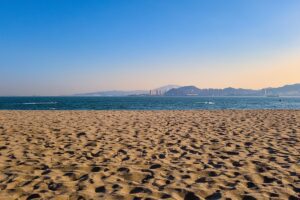 Find Weed in Xiamen, China