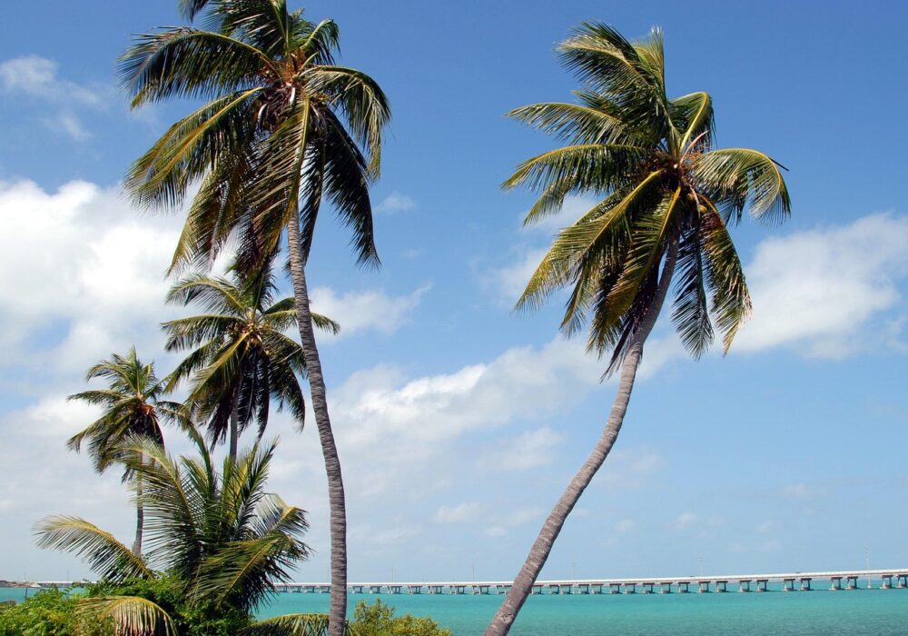 Bahia