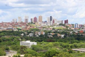 Find Weed in Campinas