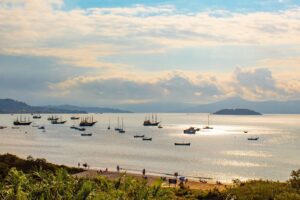 Find Weed in Florianópolis