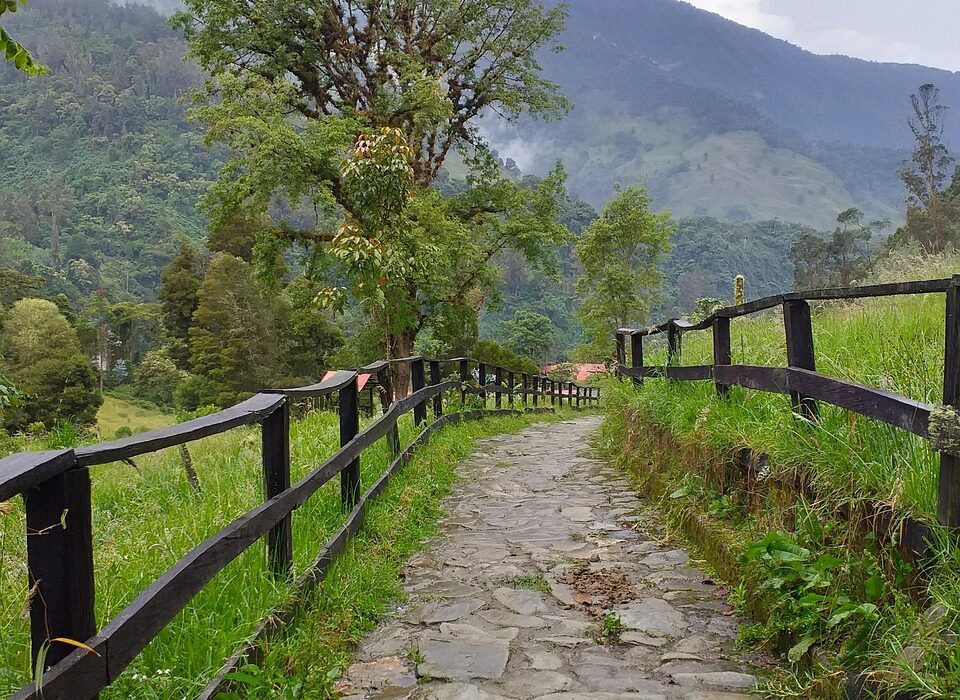 Ibagué