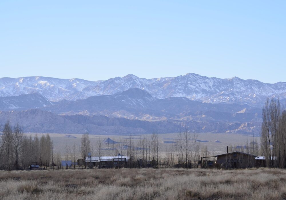 Mendoza