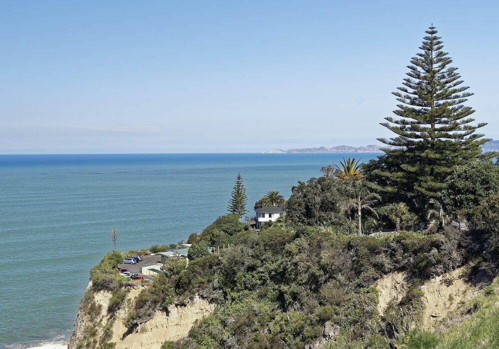 Napier