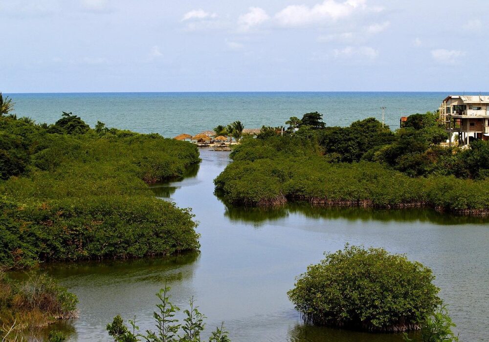 Recife