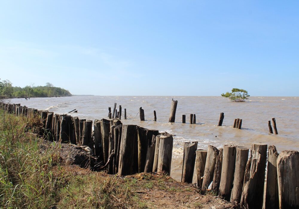 Suriname