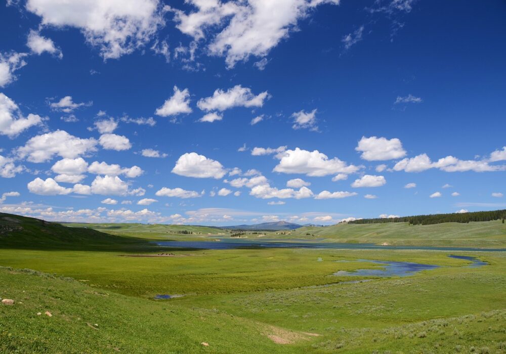 The Valley