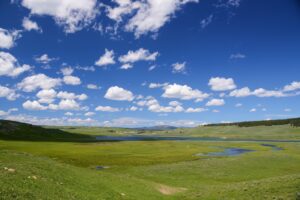Find Weed in The Valley