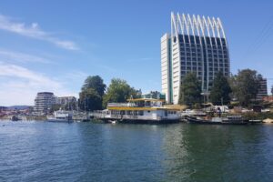 Find Weed in Valdivia