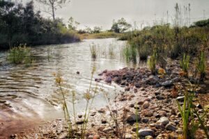 Find Weed in Belize City