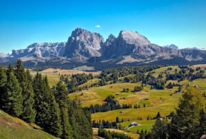Find weed in Cannigione