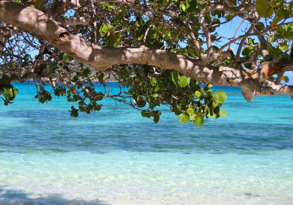 Holetown
