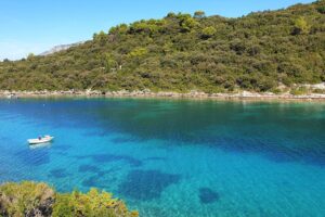Find Weed in Korčula