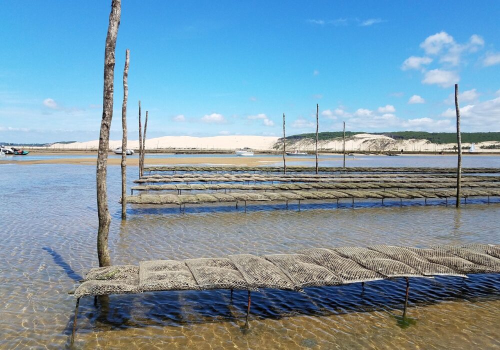 Oyster Pond