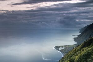 Find weed in Portalegre