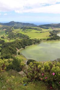 Find weed in São Miguel