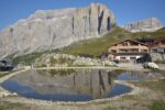 Find Weed in Val Gardena