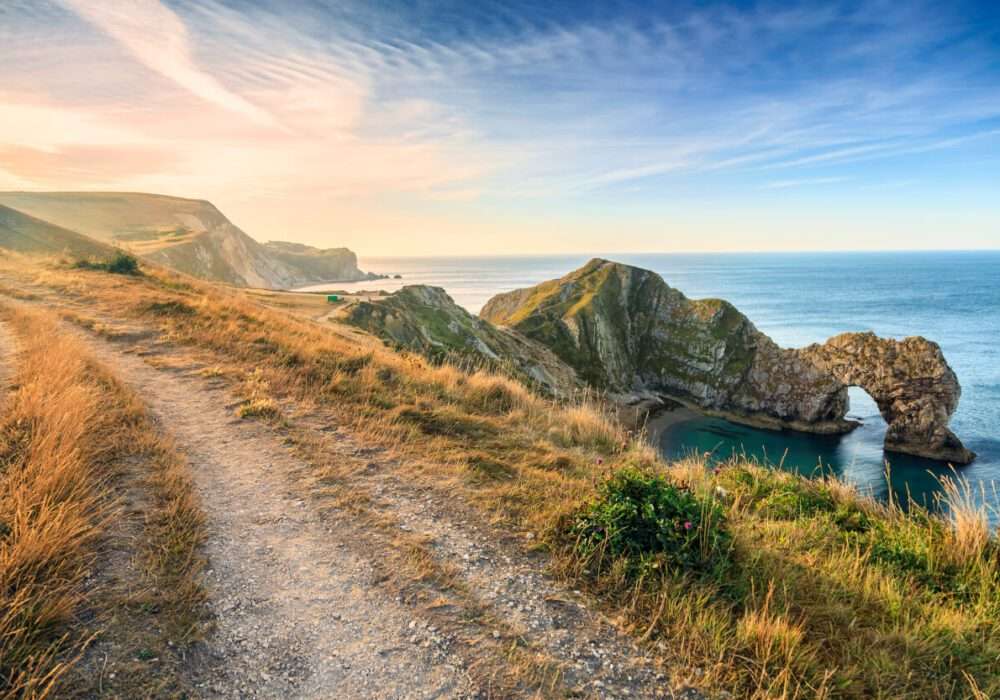 Find Weed in Dorset, England