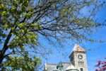 A Cannabis Travel Guide For Stoners To Find Weed in Brantford