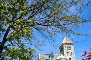A Cannabis Travel Guide For Stoners To Find Weed in Brantford