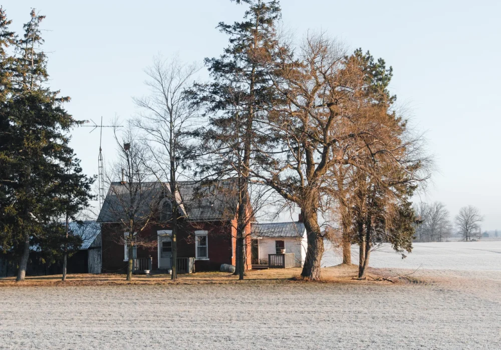 A Cannabis Travel Guide For Stoners To Find Weed in Caledonia