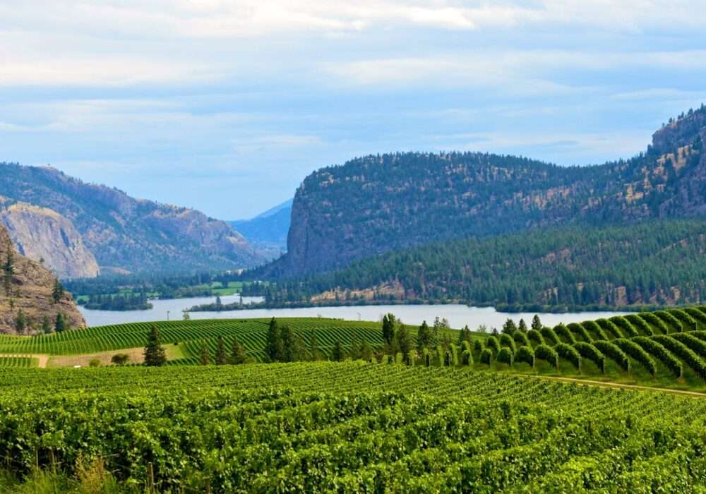 A Cannabis Travel Guide For Stoners To Find Weed in Creston