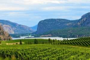 A Cannabis Travel Guide For Stoners To Find Weed in Creston