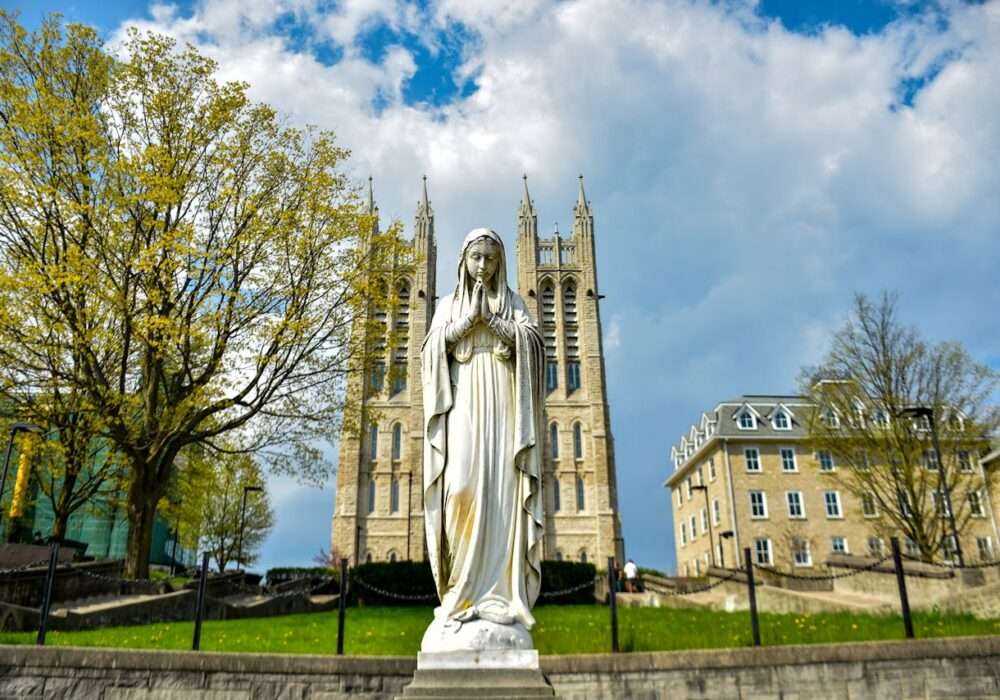 A Cannabis Travel Guide For Stoners To Find Weed in Guelph