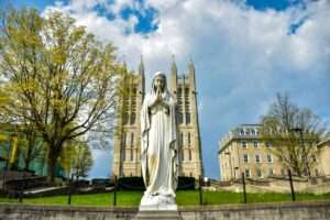 A Cannabis Travel Guide For Stoners To Find Weed in Guelph