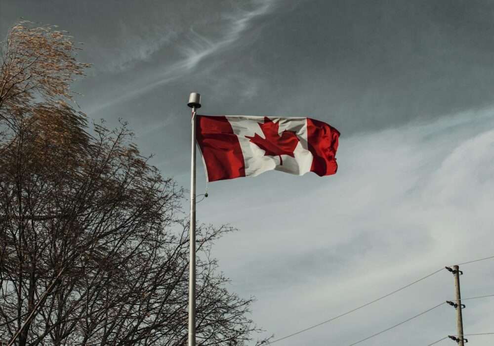 A Cannabis Travel Guide For Stoners To Find Weed in Milton