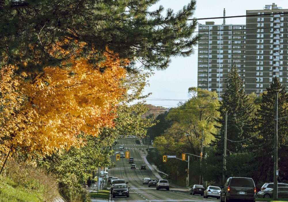 A Cannabis Travel Guide For Stoners To Find Weed in Oakville