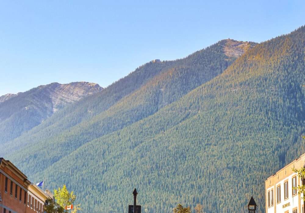 A Cannabis Travel Guide For Stoners To Find Weed in Smithers