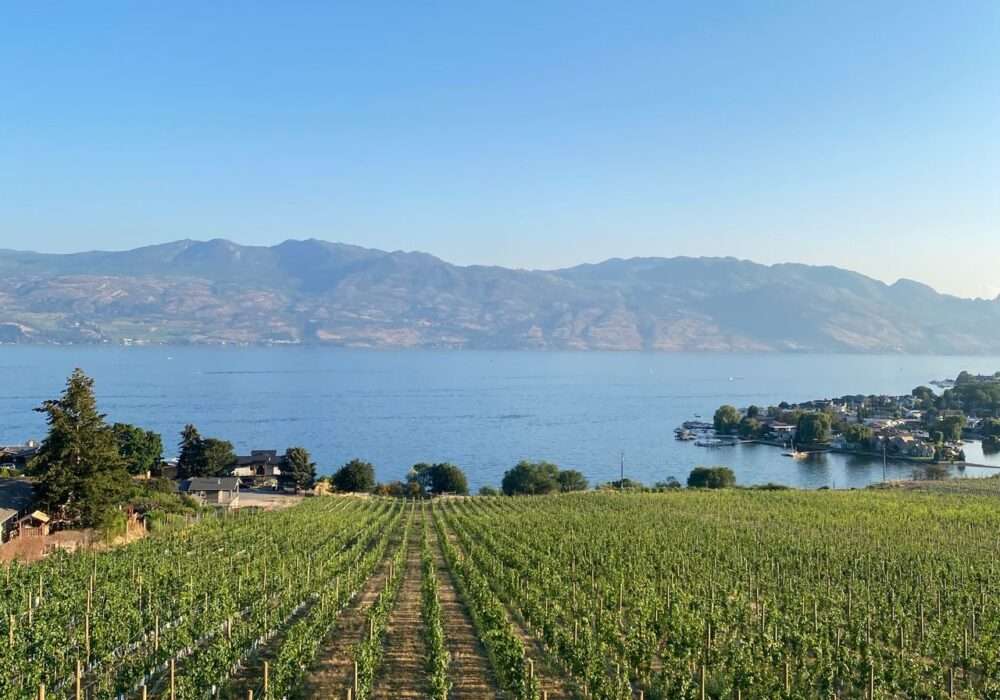 A Cannabis Travel Guide For Stoners To Find Weed in Vernon
