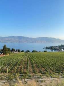 A Cannabis Travel Guide For Stoners To Find Weed in Vernon
