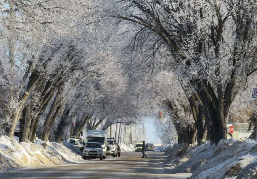 A Cannabis Travel Guide For Stoners To Find Weed in Winnipeg
